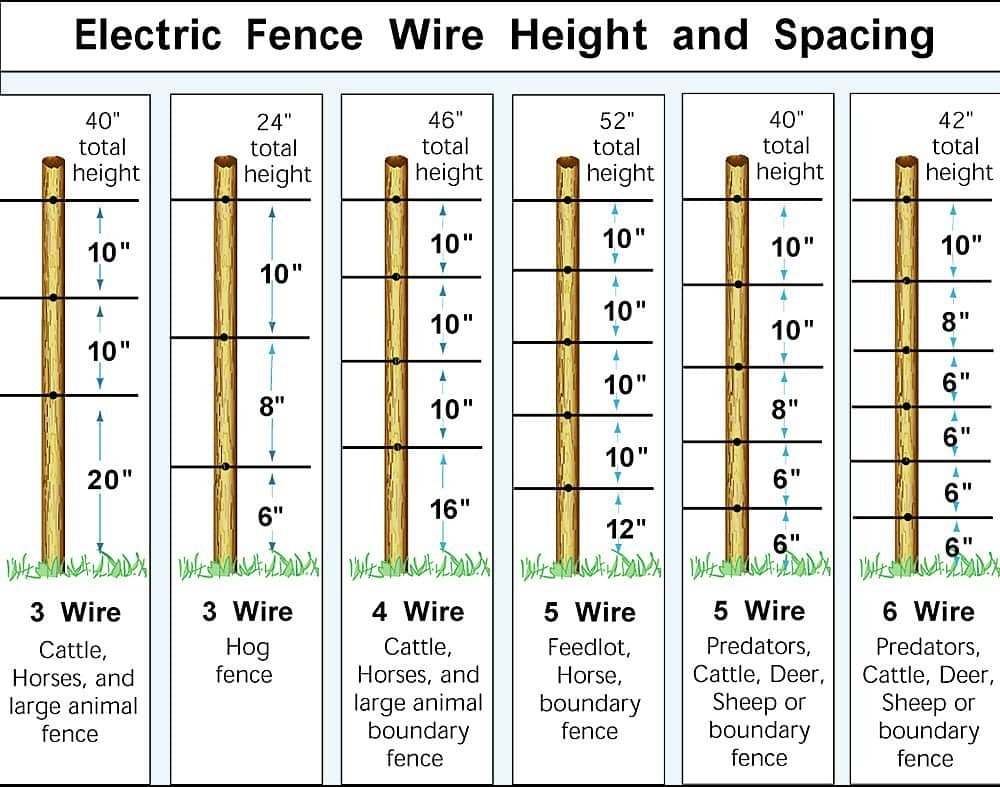 Diagram showing low electric wire at pig snout level along the fence base